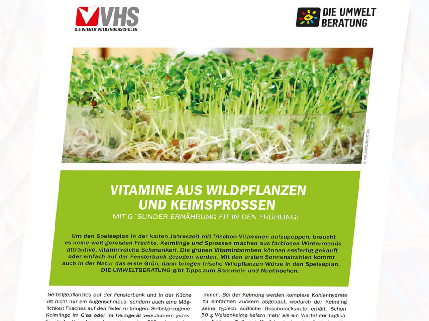 Cover vom Infoblatt Vitamine und Wildpflanzen