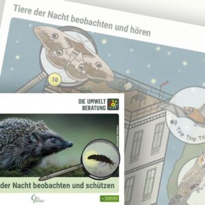 Tiere der NAcht