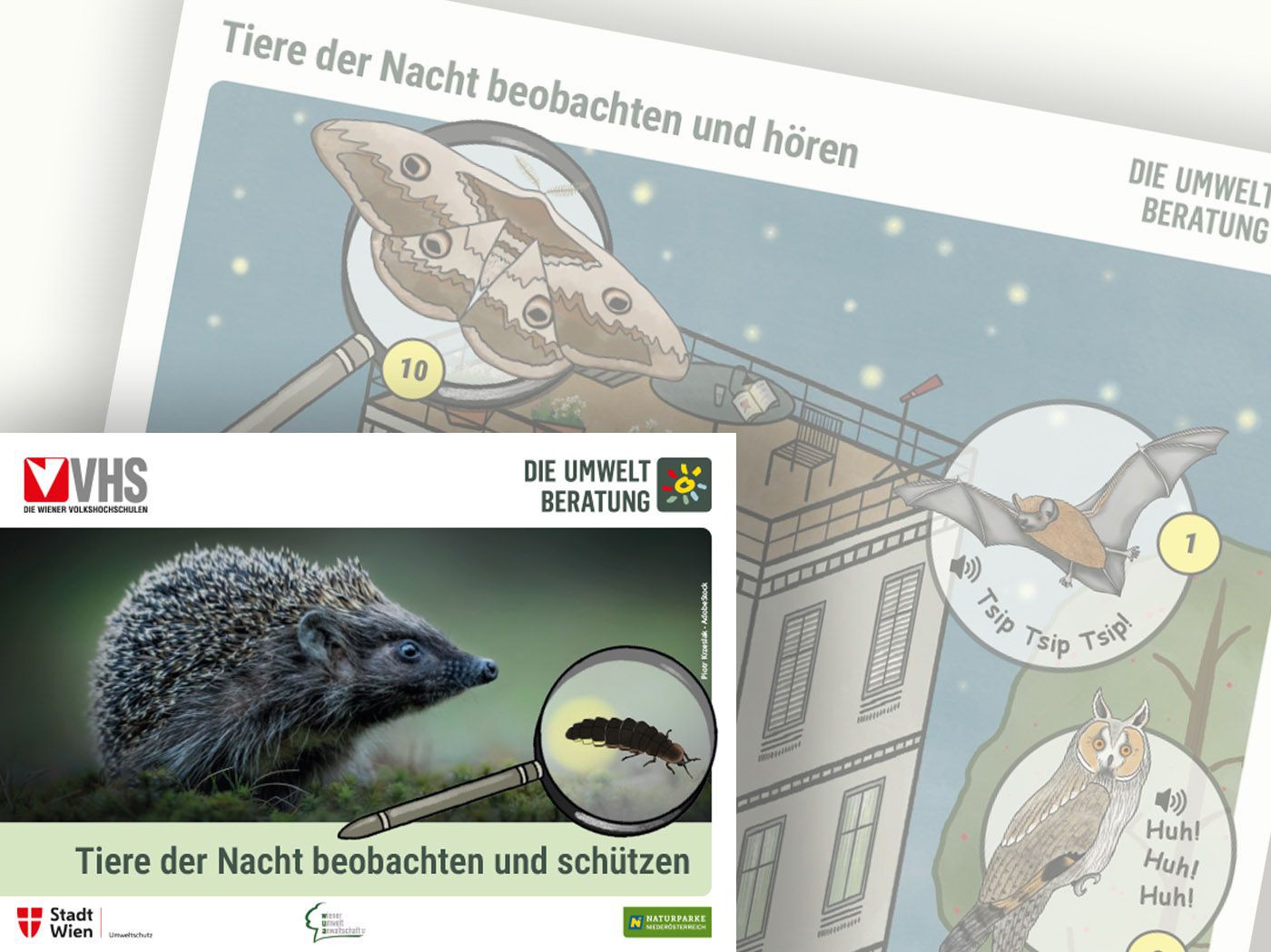 Tiere der NAcht