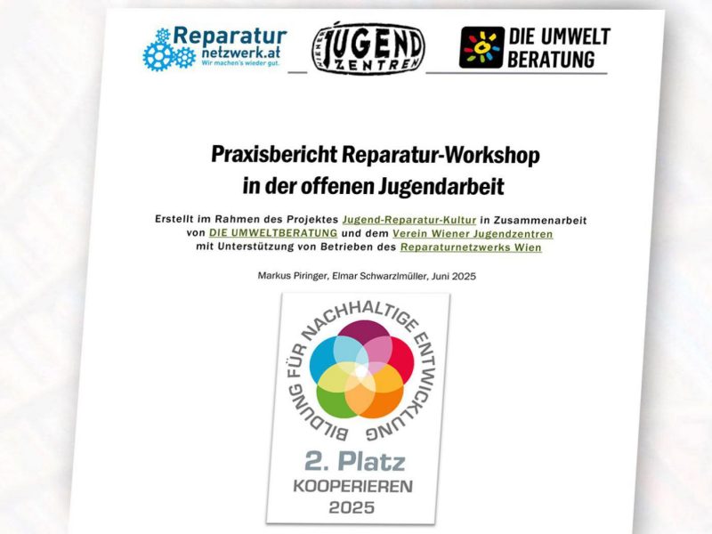 Cover des Praxisberichts
