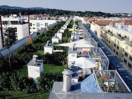 dachgarten-in-wien-quelle-optigruen-web