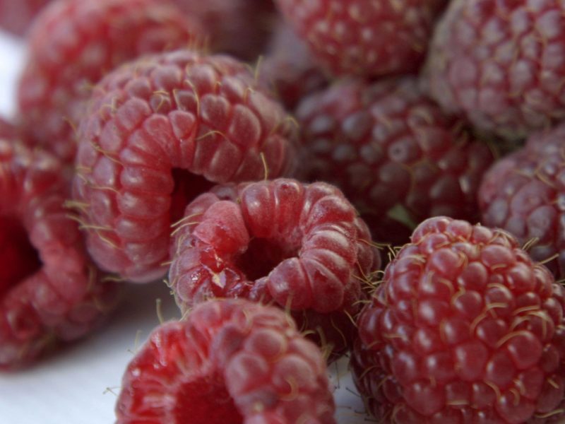 Himbeeren
