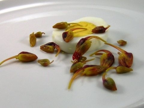 "falsche Kapern"