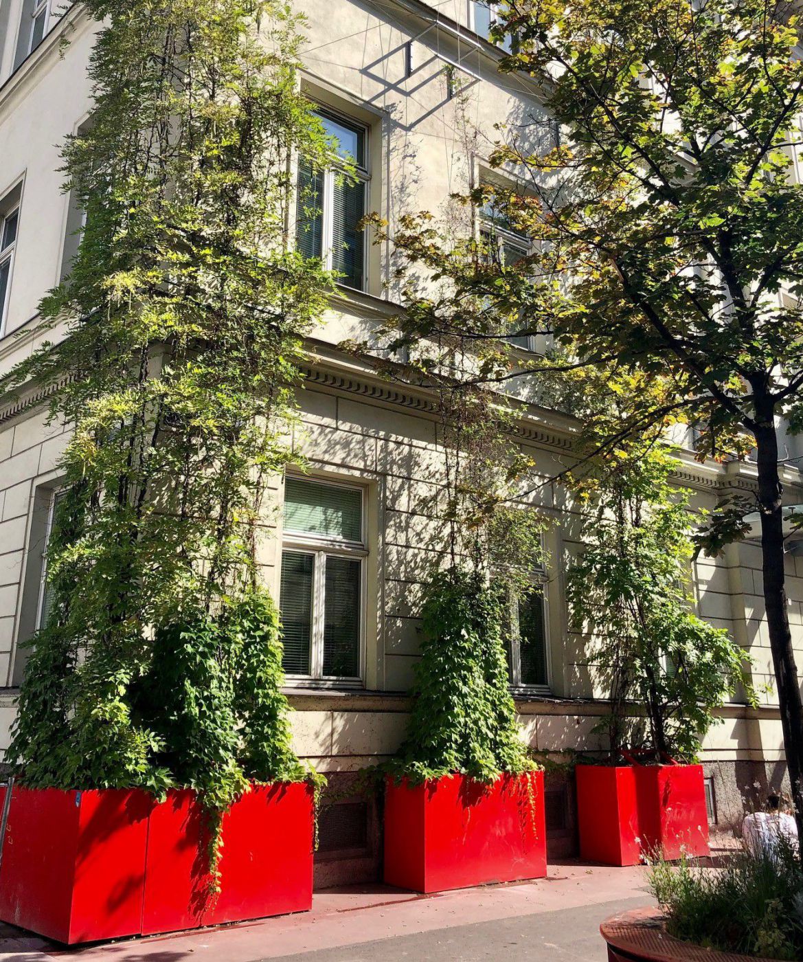 fassadenbegruenung_amtshaus