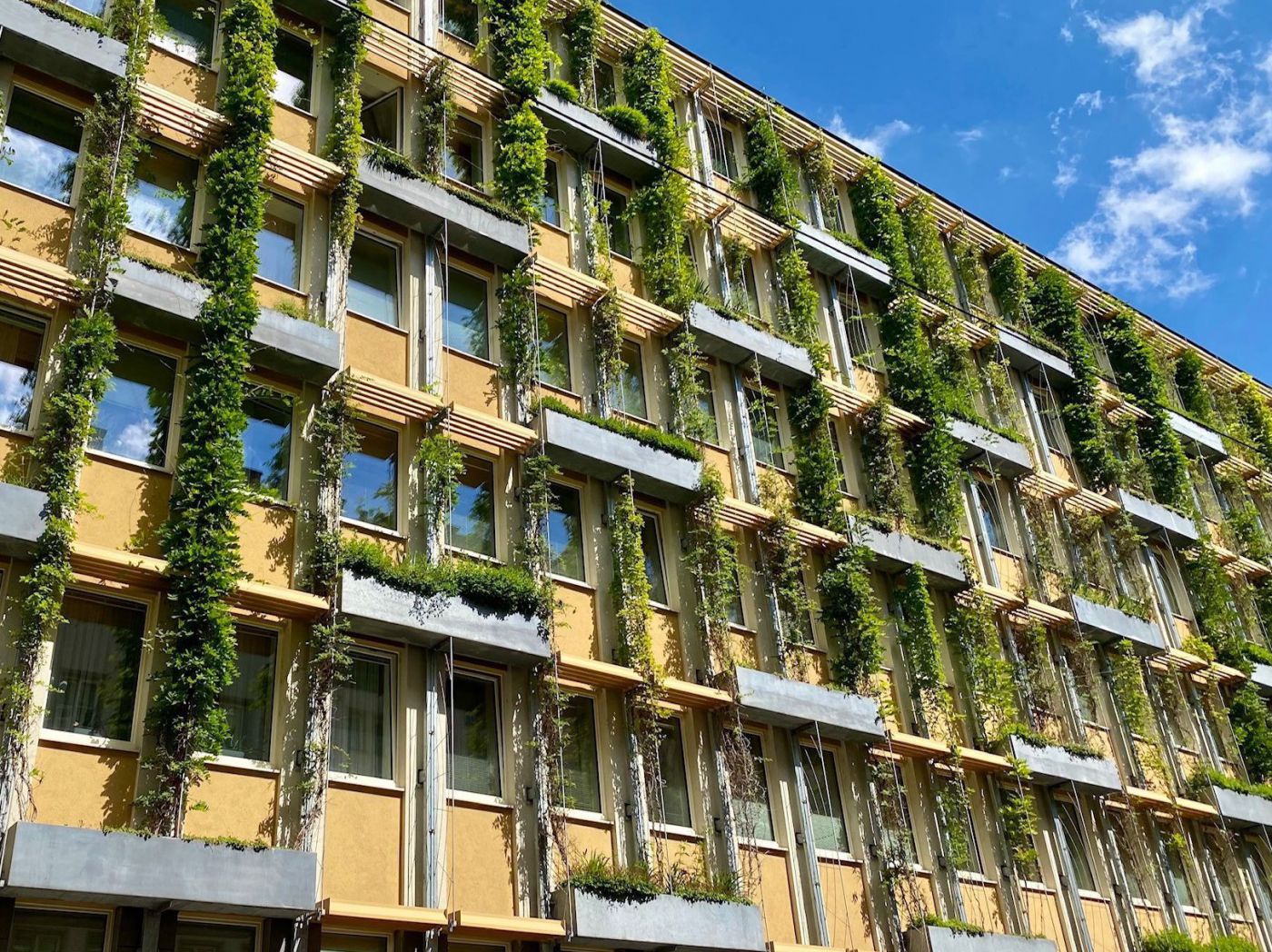 Fassade mit Kletterpflanzen