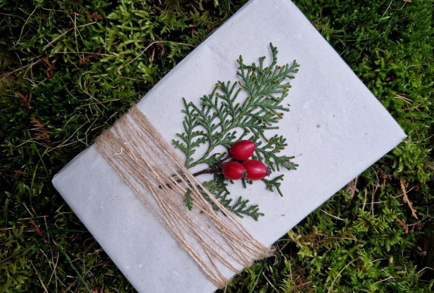 Geschenk verpackt mit Naturmaterialien