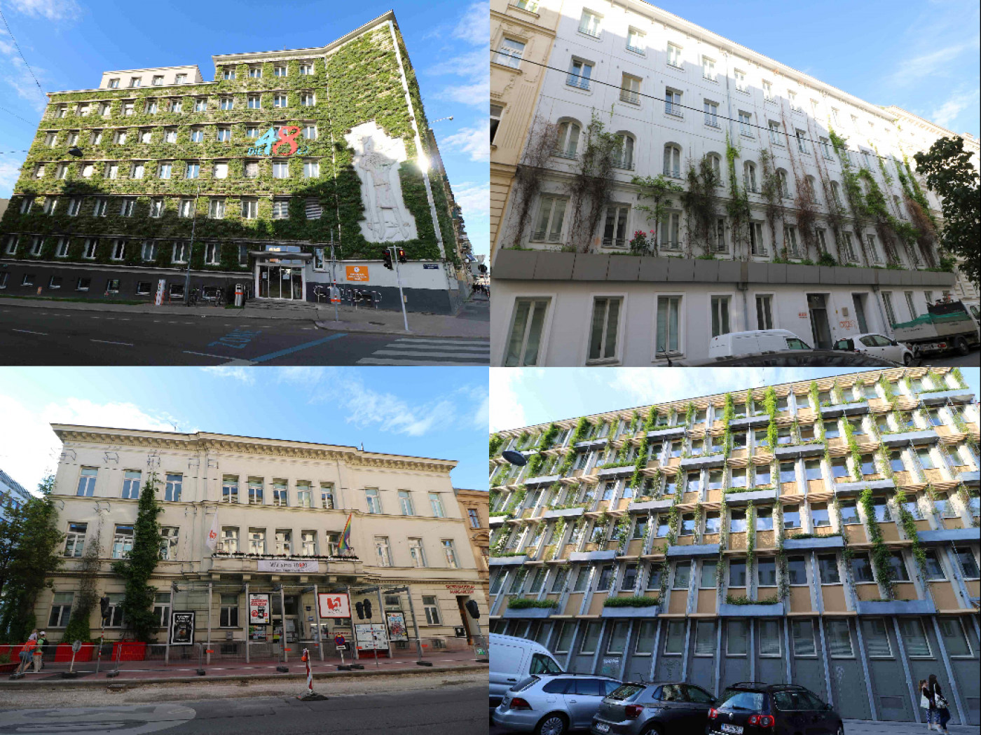 Grüne Fassaden