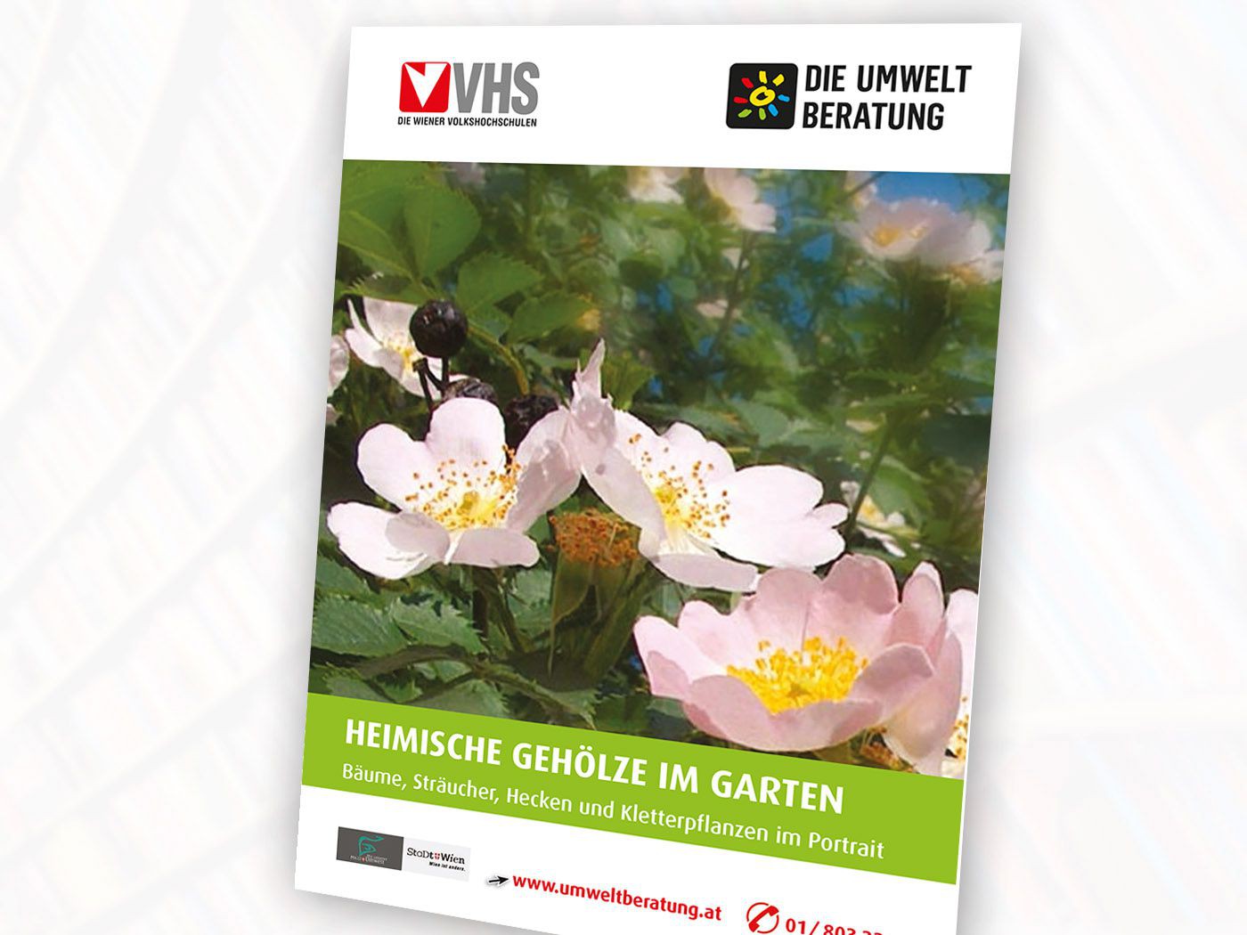 Broschüre Heimische Gehölze