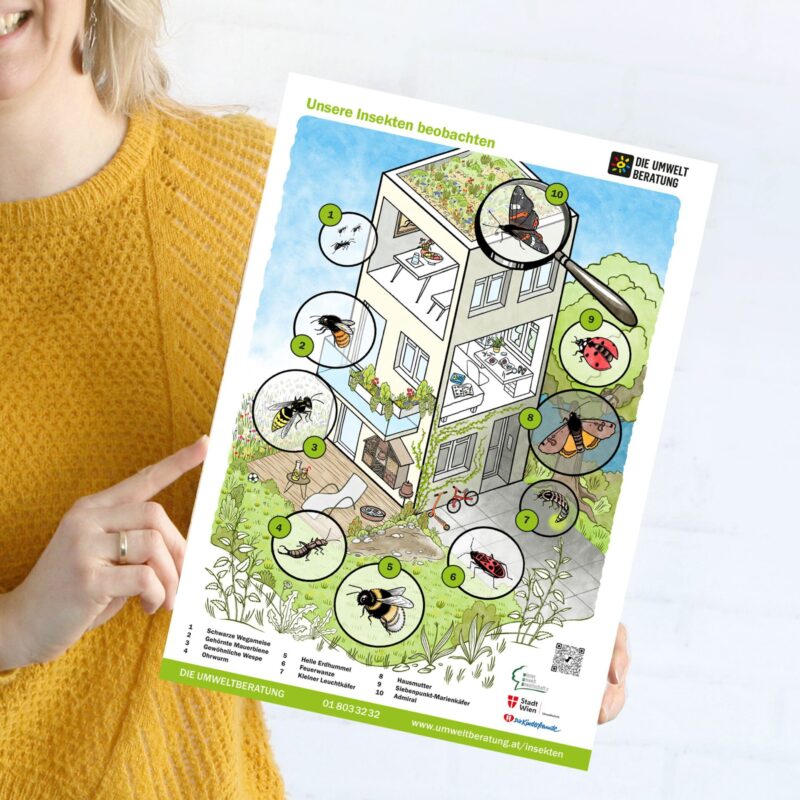 Insektenposter
