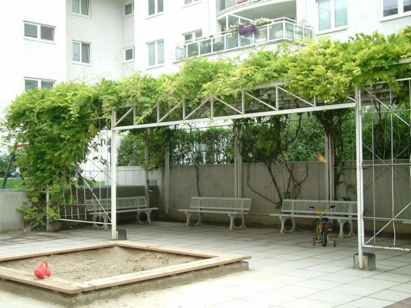 Kletterpflanze über einer Pergola als Schattenspender im Innenhof