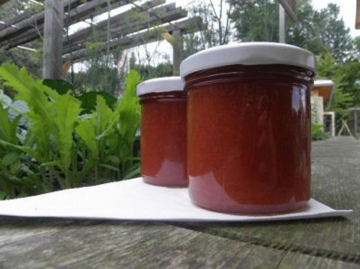 marmelade_andrea-ficala_die-umweltberatung