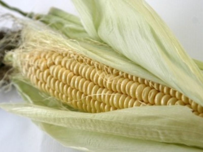 Maiskolben
