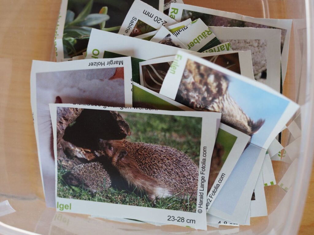 Fotos für Quiz in einer Box