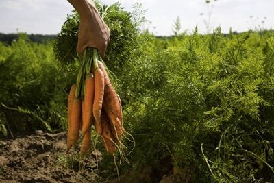 nur_fuer_bio_landwirtschaft