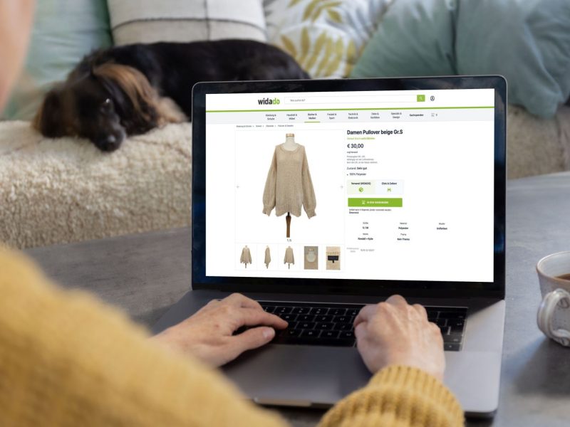 Onlinbeshopping an Sofa