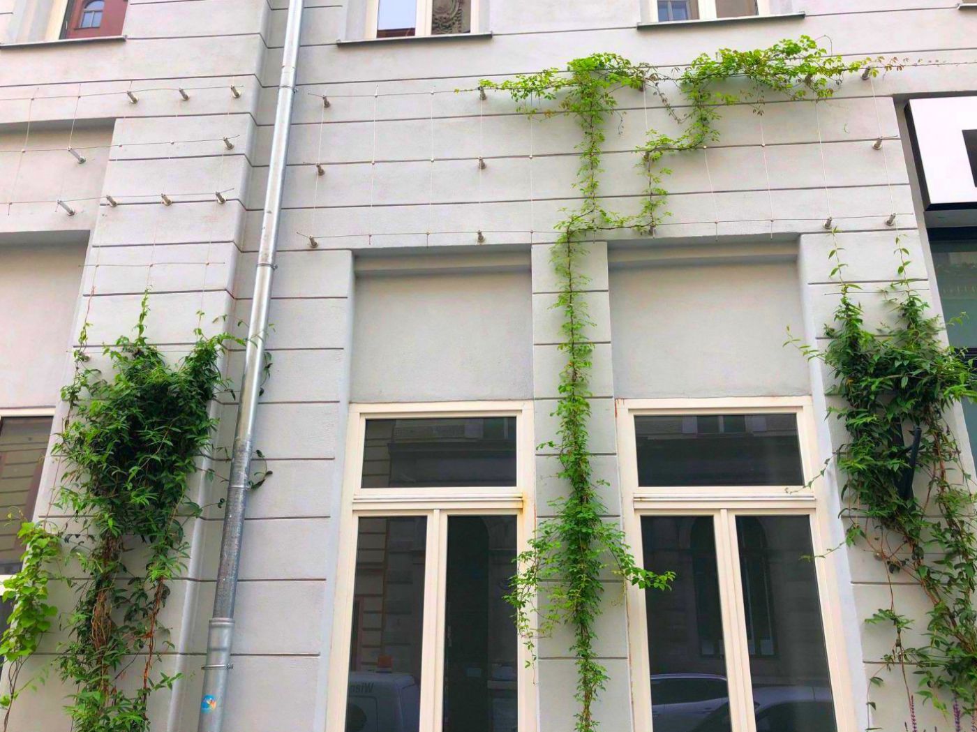 Rankhilfe für Kletterpflanzen