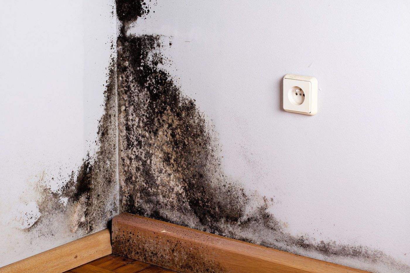 Schimmel an der Wand