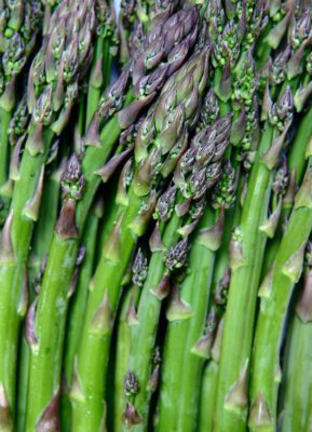 grüner Spargel
