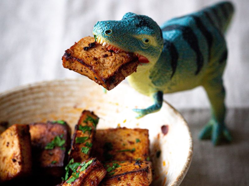 Spielzeugdinosaurier mit würzigem Tofu im Maul