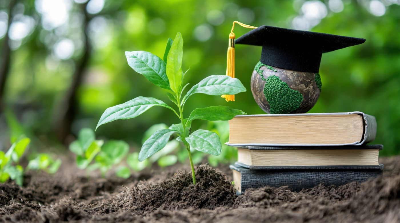 Absolventen Hut liegt auf Büchern und neben einem gepflanzten Baum