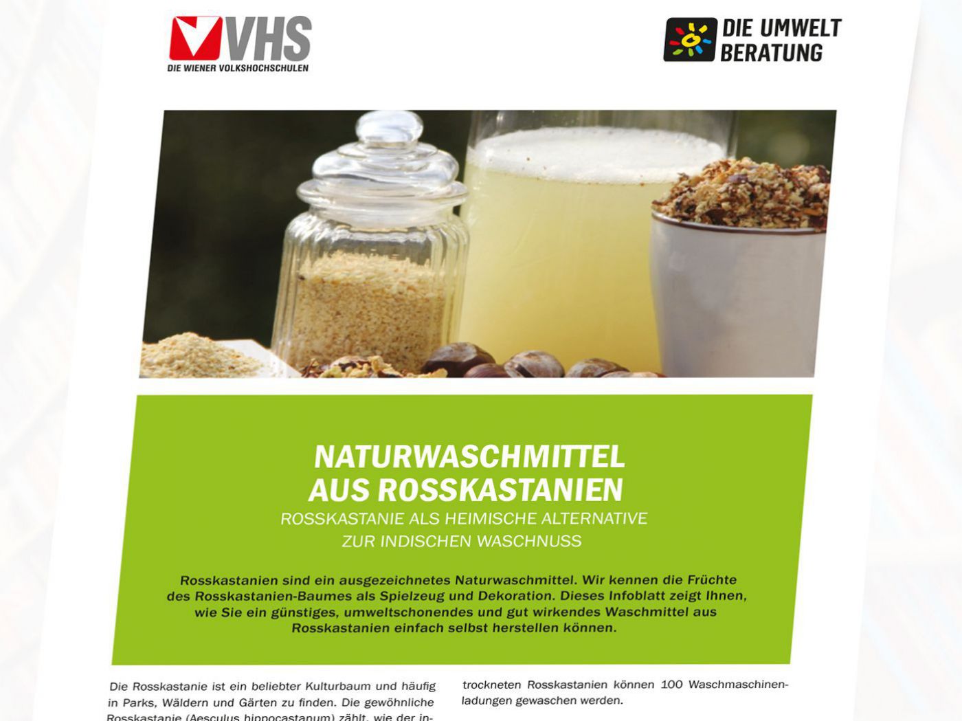 Cover Naturwaschmittel mit Rosskastanien