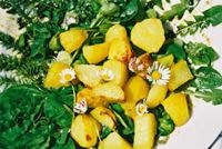 Erdäpfelcroutons auf Wildkräutersalat