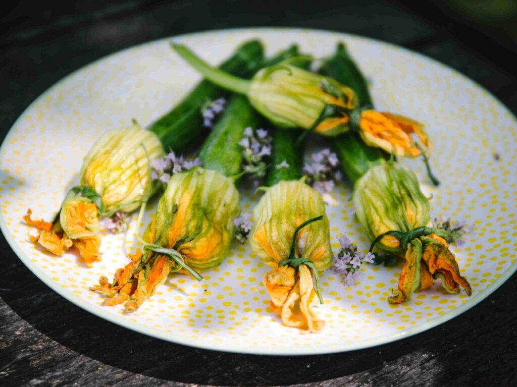 5 gefüllte Zucchinibluten